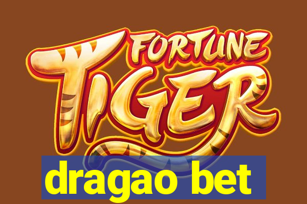 dragao bet